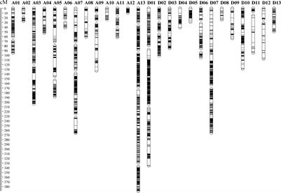 Dynamic Quantitative Trait Loci Mapping for Plant Height in <mark class="highlighted">Recombinant Inbred Line Population</mark> of Upland Cotton